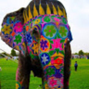 Meet your Posher, Maria